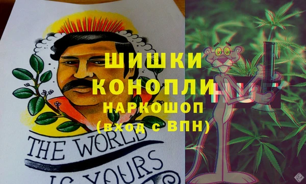 соль ск Липки