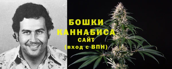 соль ск Липки
