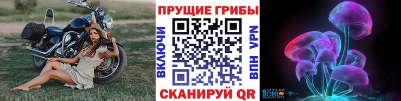 Псилоцибиновые грибы Magic Shrooms  Купить закладки  Ахтубинск 